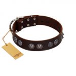 "King Arthur" FDT Artisan Brown Leather Golden Retriever Collar with Spiky Plates