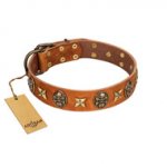 "Rockin' Doggie" FDT Artisan Tan Leather Golden Retriever Collar Adorned with Stars and Skulls