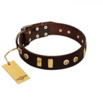 "Lord of Dogs" FDT Artisan Brown Leather Golden Retriever Collar with Old Bronze-like Dotted Studs and Tiles