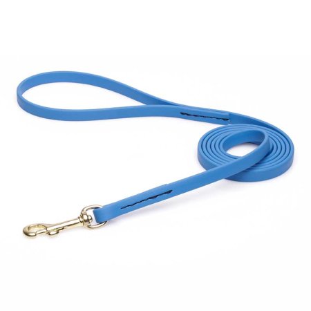 Amazing Blue Biothane Golden Retriever Leash for Walking, Tracking