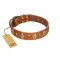 "Venus Breath" FDT Artisan Tan Leather Golden Retriever Collar with Vintage Looking Oval and Round Studs