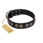 "Mister Exclusive" Designer FDT Artisan Black Leather Golden Retriever Collar with Medallions
