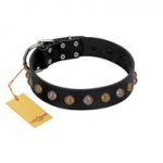 "Inky Prettification" FDT Artisan Black Leather Golden Retriever Collar with One Row of Studs