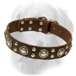 Attractive Design Leather Golden Retriever Collar with Studs