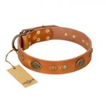 "Sun Beams" FDT Artisan Tan Leather Golden Retriever Collar with Decorations