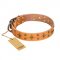 "Top-Flight" FDT Artisan Adorned Tan Leather Golden Retriever Collar