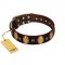 "Crystal Mirror" FDT Artisan Handmade Brown Leather Golden Retriever Collar - 1 1/2 inch (40 mm) Wide