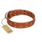 "Tawny Beauty" FDT Artisan Tan Leather Golden Retriever Collar Adorned with Stars and Tiny Squares
