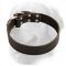 Elegant Design Leather Collar 40 mm