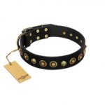 "Reckless Mutt" FDT Artisan Black Leather Golden Retriever Collar with Skulls and Brooches