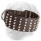 Extra Wide Studded Leather Golden Retriever Collar