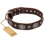 "Extra Pizzazz" FDT Artisan Adorned Brown Leather Golden Retriever Collar