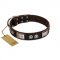 "Baller Status" FDT Artisan Brown Leather Golden Retriever Collar Adorned with a Set of Chrome Plated Studs and Plates