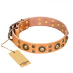 "Sophisticated Glamor" FDT Artisan Leather Golden Retriever Collar with Fancy Old Bronze-like Plated Decorations