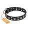 "Refined Essence" FDT Artisan Black Leather Golden Retriever Collar with Silvery Studs