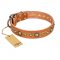 "Feast of Luxury" FDT Artisan Tan Leather Golden Retriever Collar with Old Bronze Look Circles