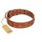 "Dreamy Gleam" FDT Artisan Tan Leather Golden Retriever Collar Adorned with Stars and Squares