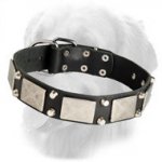 Amazing Design Golden Retriever Leather Collar with Nickel Plates and Pyramids