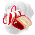 Golden Retriever Bite Pillow with Removable Jute Cover