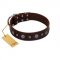 "Pure Sensation" Exclusive FDT Artisan Brown Leather Golden Retriever Collar with Fancy Brooches and Studs