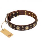 "Flower Melody" FDT Artisan Brown Leather Golden Retriever Collar with Mixed Studs