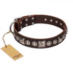 "Pierian spring" FDT Artisan Brown Leather Golden Retriever Collar with Silvery Decorations