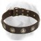 Gorgeous Wide Leather Dog Collar With Silver Conchos