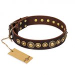 "Ancient Warrior" FDT Artisan Fancy Leather Golden Retriever Collar with Old-Bronze Plated Decorations