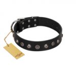 "Black Knight" Handmade FDT Artisan Black Leather Golden Retriever Collar with Silver-Like Studs