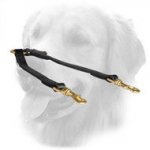 Golden Retriever Leather Coupler Stitched