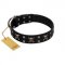 "Black Jack" Stylish Handmade FDT Artisan Black Leather Golden Retriever Collar