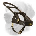 Guide and Assistance Leather Golden Retriever Harness with Handle
