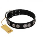 "Magic Amulete" Handcrafted FDT Artisan Black Leather Golden Retriever Collar with Chrome-Plated Shields