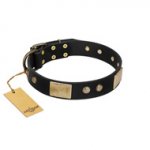 "Antique Gloss" FDT Artisan Black Leather Golden Retriever Collar with Bronze-like Plates and Small Studs