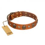 "Call of Feat" FDT Artisan Tan Leather Golden Retriever Collar with Old Bronze-like Studs and Oval Brooches