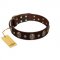 "Breaking the Horizon" FDT Artisan Brown Leather Golden Retriever Collar with Engraved Studs and Medallions