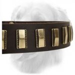 Unique Design Leather Collar with Shiny Brass Plates