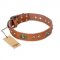 "Stunning Dress" FDT Artisan Tan Leather Golden Retriever Collar with Old Bronze Look Plates and Studs