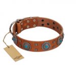 "Blue Sands" FDT Artisan Tan Leather Golden Retriever Collar with Silver-like Studs and Round Conchos with Stones