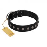 "Silver Flower" Exclusive FDT Artisan Black Leather Golden Retriever Collar with Silver-Like Studs