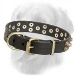 Stylish "Galaxy Trip" Leather Golden Retriever Collar with Studs