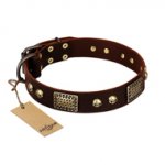 "Magic Amulet" Brown Leather Golden Retriever Collar with Skulls and Plates