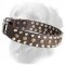 Leather Golden Retriever Collar with Pyramids and Half-Ball Studs