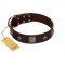 "Cold Star" Designer FDT Artisan Brown Leather Golden Retriever Collar with Silver-Like Adornments