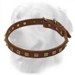 Gorgeous Decorated Leather Collar