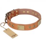 "The Middle Ages" FDT Artisan Handcrafted Tan Leather Golden Retriever Collar