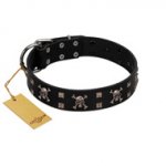 "Black Jack" Stylish Handmade FDT Artisan Black Leather Golden Retriever Collar