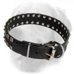 "Caterpillar" Design Leather Golden Retriever Collar with 2 Rows of Studs
