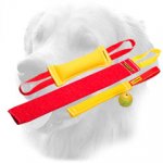 Puppy French Linen Golden Retriever Set (4 Dog Items)