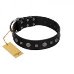 "Mr. Elegance" Designer FDT Artisan Black Leather Golden Retriever Collar with Silver-Like Studs